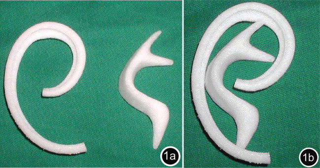 medpor-cosmetic-surgery-ear-reconstruction.png